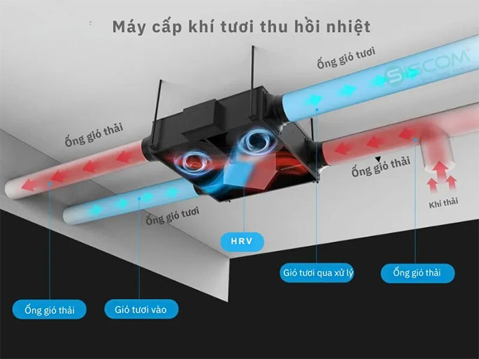 Máy cấp khí tươi 2 chiều: Tổng quan thông tin chi tiết từ A-Z 8 May Cap Khi Tuoi 2 Chieu Anh 1